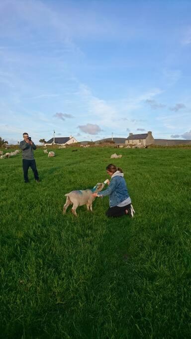 דירות פורטמגי Skellig View Bluebell Rose & The Kerry Cliffs מראה חיצוני תמונה
