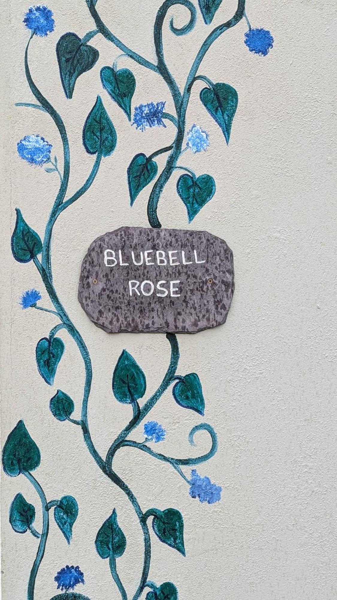 דירות פורטמגי Skellig View Bluebell Rose & The Kerry Cliffs מראה חיצוני תמונה